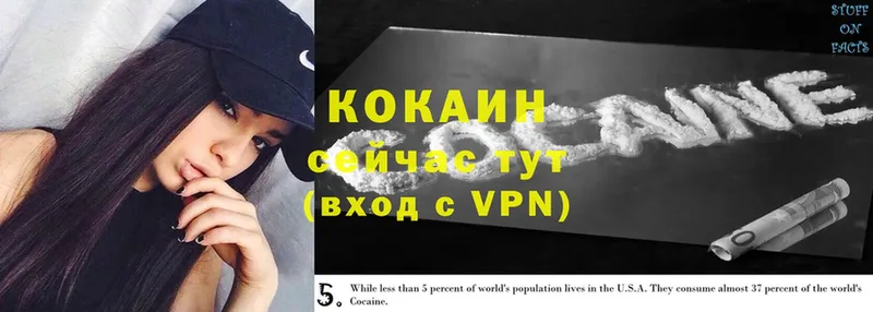 OMG ONION  Закаменск  Cocaine Боливия 