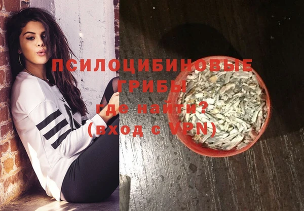 мет Пересвет